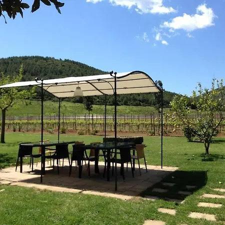 Vakantieboerderij Wine Leda D'ittiri *