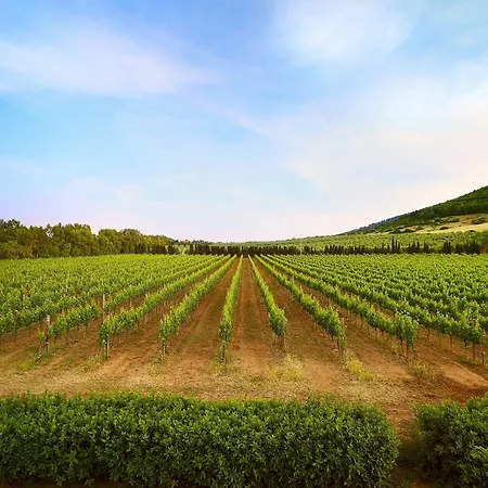 Wine Leda D'ittiri Κατάλυμα σε φάρμα *