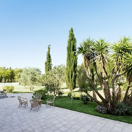 Wine Leda D'ittiri *