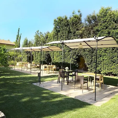 Wine Leda D'ittiri *