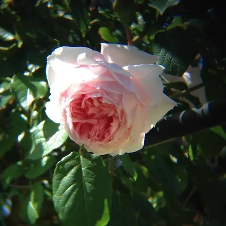 Κατάλυμα σε φάρμα Wine Leda D'ittiri