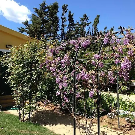 Wine Leda D'ittiri Κατάλυμα σε φάρμα Αλγκέρο