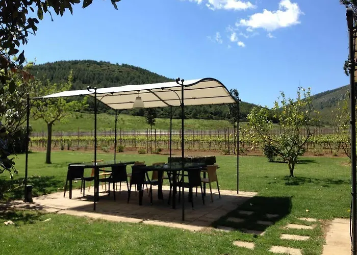 Vakantieboerderij Wine Leda D'ittiri *