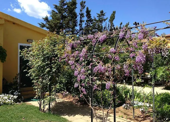 Wine Leda D'ittiri Lantgård Alghero