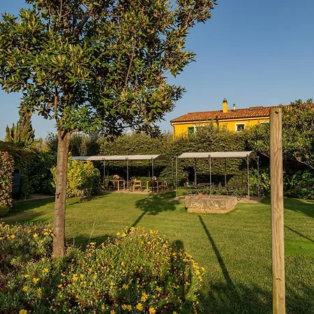 Wine Leda D'ittiri אלגהרו