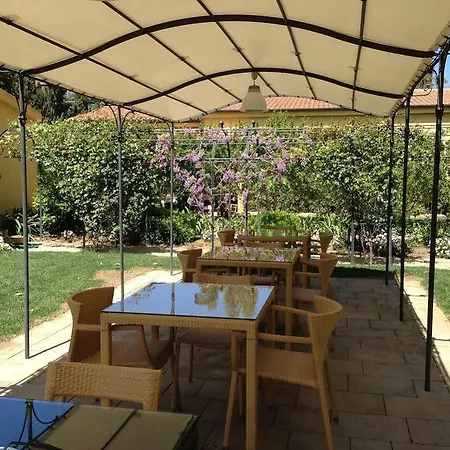 Wine Leda D'ittiri אלגהרו