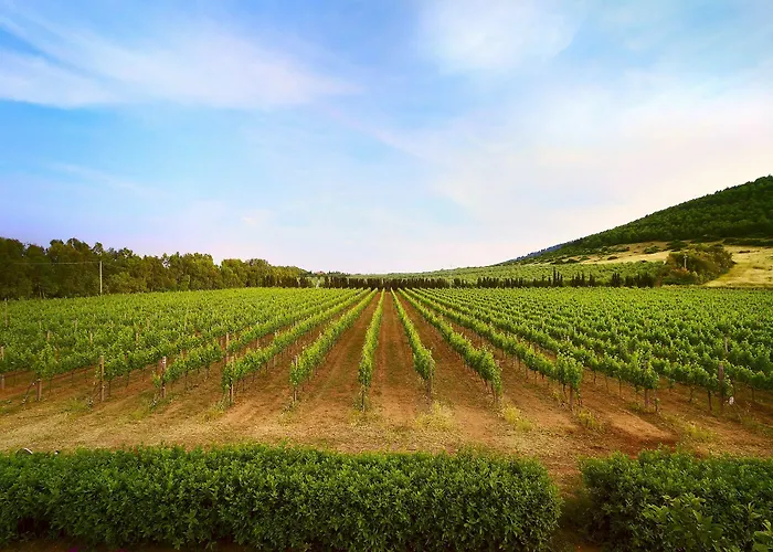 Wine Ledà D'ittiri Séjour à la ferme *