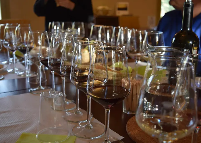 Séjour à la ferme Wine Ledà D'ittiri